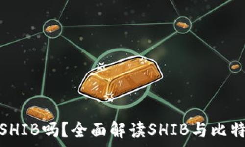   
比特派支持SHIB吗？全面解读SHIB与比特派的兼容性