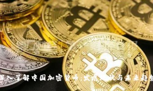 深入了解中国加密货币：发展现状与未来趋势