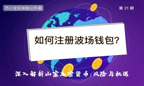 深入解析山寨加密货币：风险与机遇