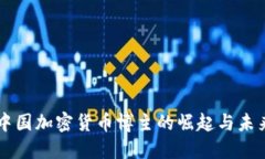 中国加密货币博主的崛起与未来