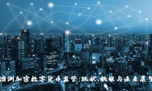 澳洲加密数字货币监管：现状、挑战与未来展望