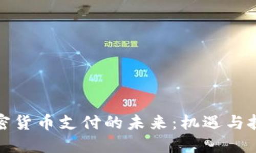 加密货币支付的未来：机遇与挑战