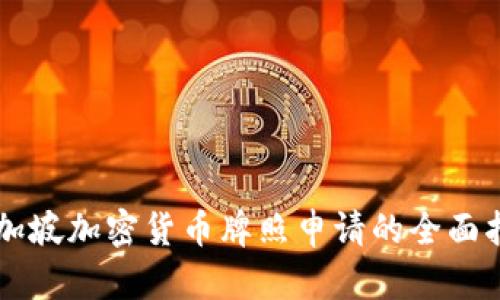 新加坡加密货币牌照申请的全面指南