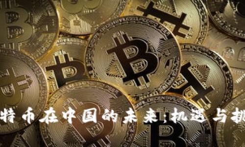 比特币在中国的未来：机遇与挑战