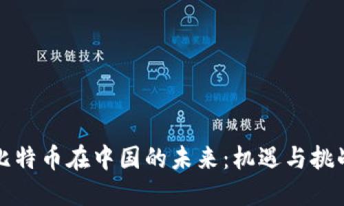 比特币在中国的未来：机遇与挑战