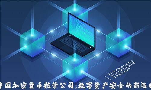 
中国加密货币托管公司：数字资产安全的新选择