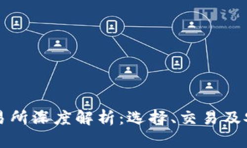 比特交易所深度解析：选择、交易及安全指南
