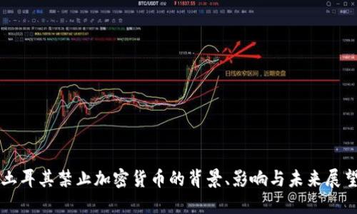 土耳其禁止加密货币的背景、影响与未来展望