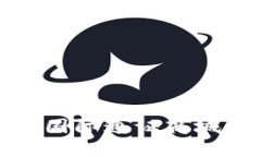 如何下载比特国际通证商城APP：全面指南