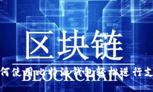 如何使用比特派钱包轻松进行支付