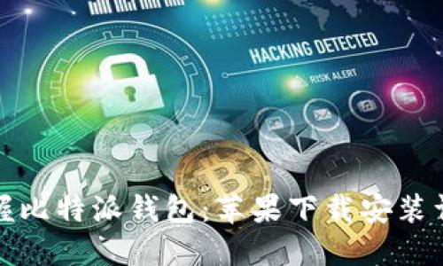 全面掌握比特派钱包：苹果下载安装详细教程