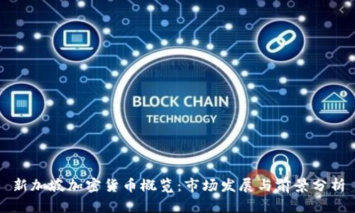 新加坡加密货币概览：市场发展与前景分析
