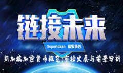 新加坡加密货币概览：市场发展与前景分析