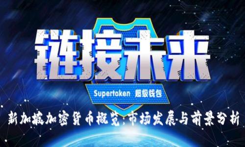 新加坡加密货币概览：市场发展与前景分析
