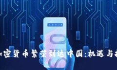 : 全球加密货币繁荣到达中国：机遇与挑战并存