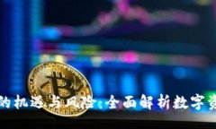 br春节加密货币的机遇与风险：全面解析数字资产