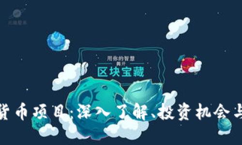 加密数字货币项目：深入了解、投资机会与风险管理