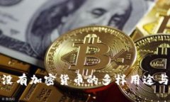 探索没有加密货币的多样用途与价值