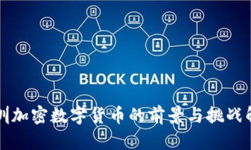 深圳加密数字货币的前景与挑战解析