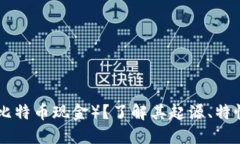 什么是BCH（比特币现金）？了解其起源、特性及