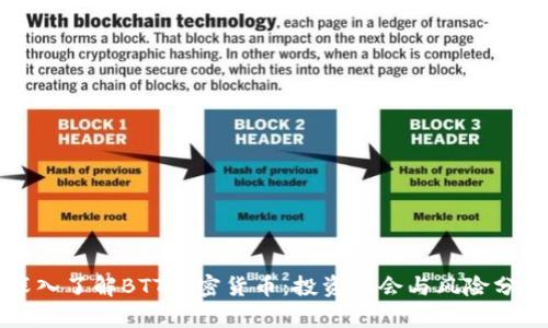 深入了解BTT加密货币：投资机会与风险分析
