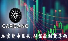   中国加密货币巨头：从崛起到变革的历程