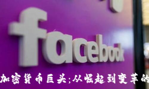   
中国加密货币巨头：从崛起到变革的历程