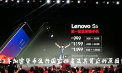 2023年加密货币流行国家排名及其背后的原因分析