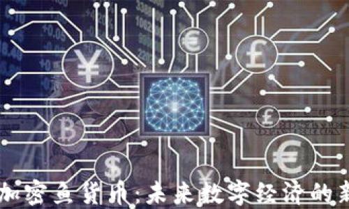 
解密加密鱼货币：未来数字经济的新风口