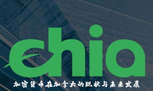   
加密货币在加拿大的现状与未来发展