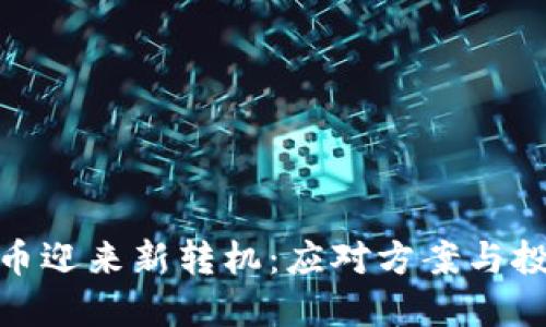 加密货币迎来新转机：应对方案与投资策略