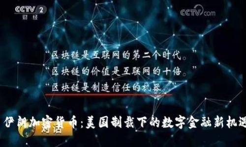  伊朗加密货币：美国制裁下的数字金融新机遇