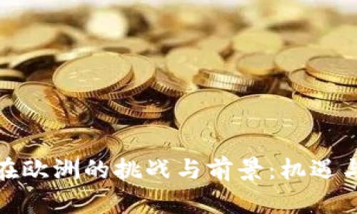 加密货币在欧洲的挑战与前景：机遇与风险并存