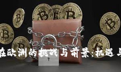 加密货币在欧洲的挑战与前景：机遇与风险并存