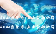 通过DSE加密货币：未来金融的崭新视角通过DSE加