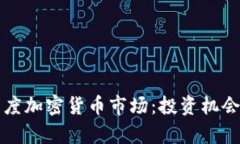 深入探索灰度加密货币市场：投资机会与风险分