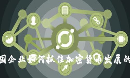 : 中国企业如何抓住加密货币发展的机遇