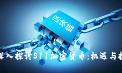 : 深入探讨S11加密货币：机遇与挑战