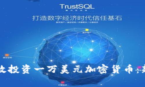 如何有效投资一万美元加密货币：新手指南