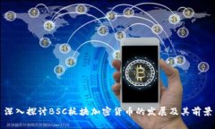 深入探讨BSC板块加密货币的发展及其前景