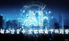 全面理解加密货币：宏观视角下的趋势与挑战