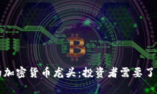 揭开未计算的加密货币龙头：投资者需要了解的核心知识