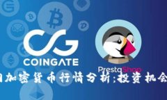 2023年热门加密货币行情分析：投资机会与风险评