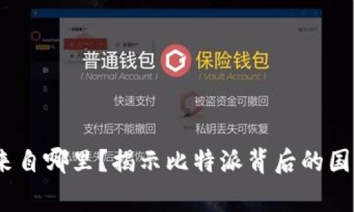 比特派：来自哪里？揭示比特派背后的国家与市场