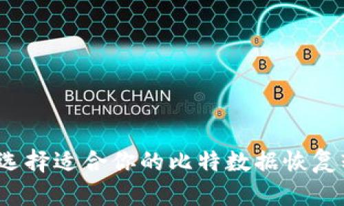如何选择适合你的比特数据恢复软件？