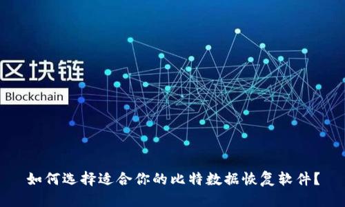 如何选择适合你的比特数据恢复软件？