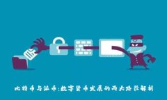 比特币与派币：数字货币发展的两大路径解析