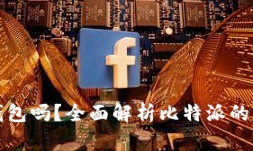 比特派钱包是冷钱包吗？全面解析比特派的钱包功能和安全性