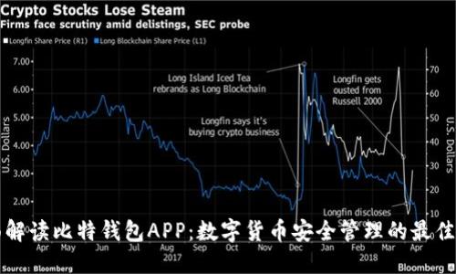 全面解读比特钱包APP：数字货币安全管理的最佳伴侣