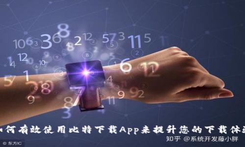 如何有效使用比特下载App来提升您的下载体验